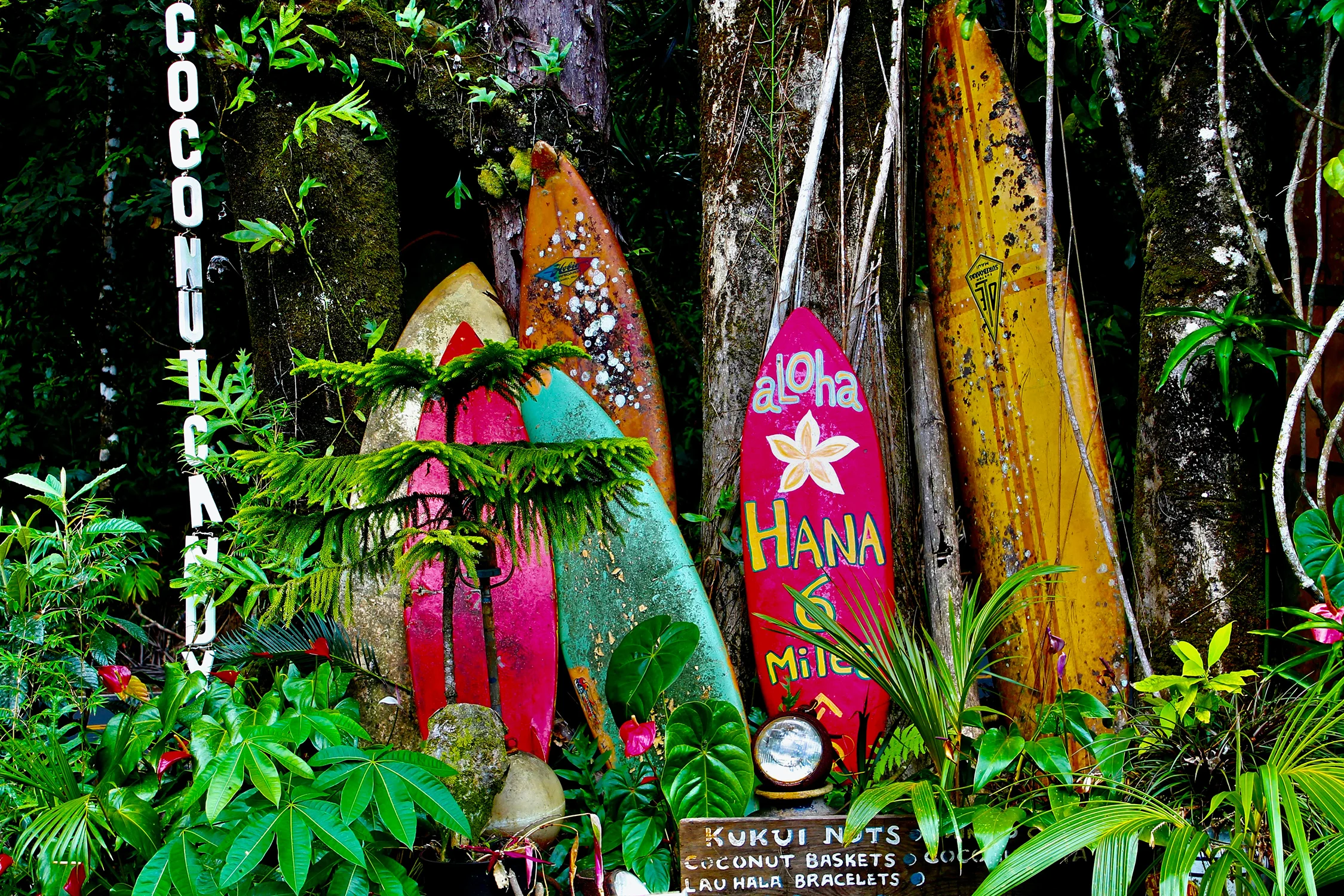 Hawaii Travel Destination