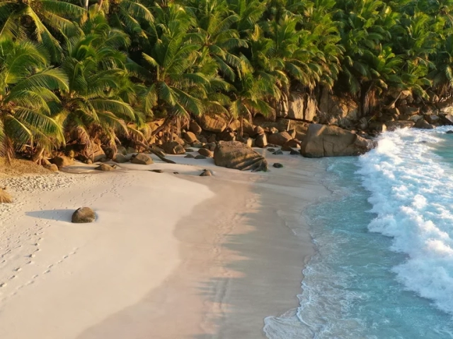 Jamaika Karibik Natur Traumstrände Online Reisebüro webook.ch
