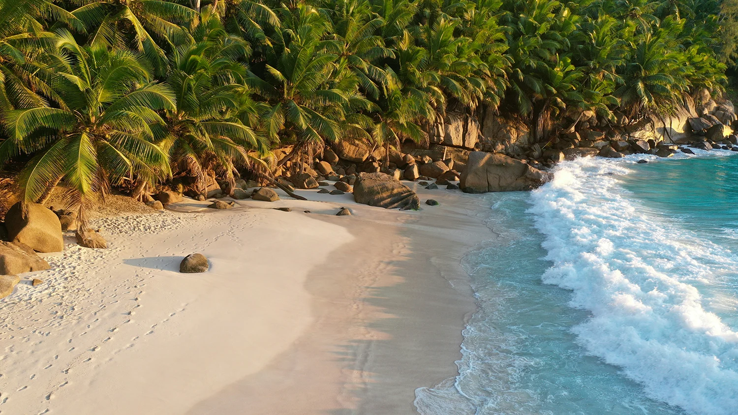 Jamaika Karibik Natur Traumstrände Online Reisebüro webook.ch
