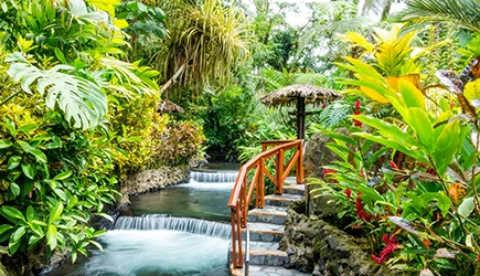 Costa Rica die besten und beliebtesten Ferien und Reisedestinationen der Schweizer webook.ch Online Reisebüro