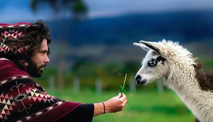 Ecuador die besten und beliebtesten Ferien und Reisedestinationen der Schweizer webook.ch Online Reisebüro