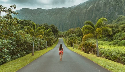 Rundreise und Ferien in Hawaii mit webook.ch Online Reisebüro
