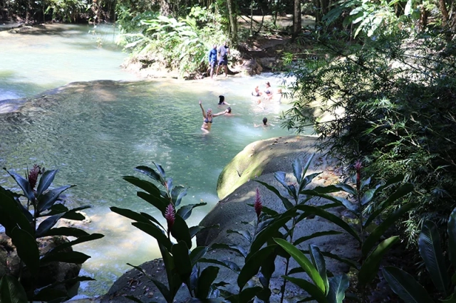 Fasserfälle Naturpools Jamaika