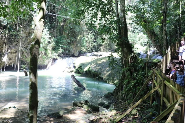 Fasserfälle Tropische Natur Ausflug Jamaika