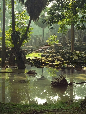 Kambodscha Dschungel