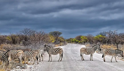 Namibia die besten und beliebtesten Ferien und Reisedestinationen der Schweizer webook.ch Online Reisebüro