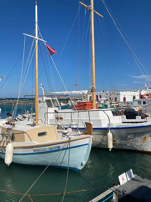 Paros Griechenland Naoussa Fischerhafen