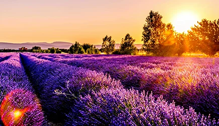 Südfrankreich-Ferien die besten und beliebtesten Ferien und Reisedestinationen der Schweizer webook.ch Online Reisebüro