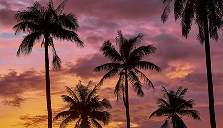 Phuket Strandferien in Thailands, webook.ch Online Reisebüro