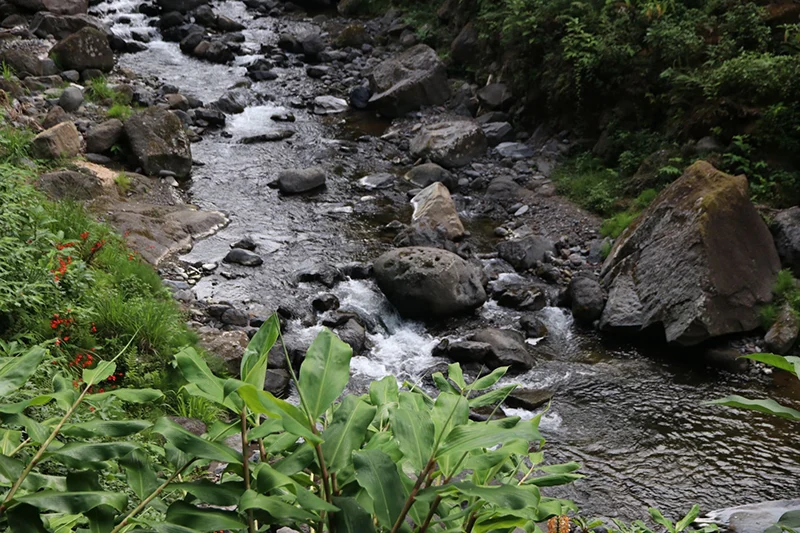 Azoren Sao Miguel 16. Salto do Prego unterwegs