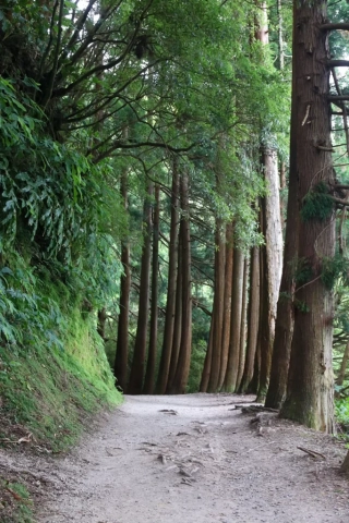 Azoren Sao Miguel 46 Furnas