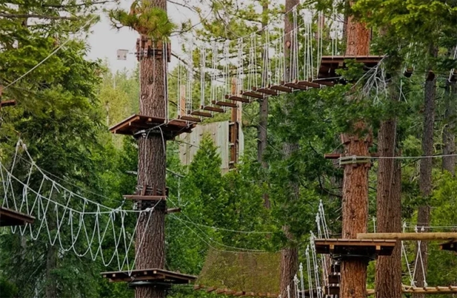 Azoren Sao Miguel 47 Azores Treetop Park