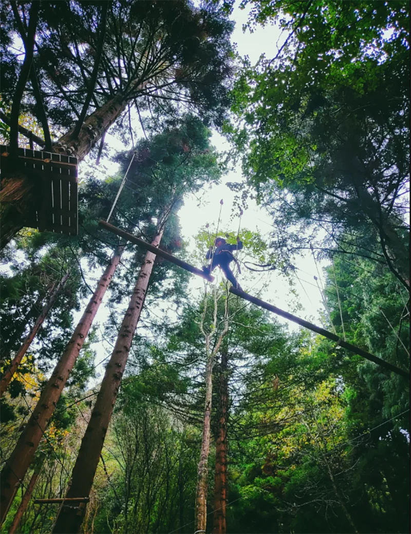 Azoren Sao Miguel 48 Azores Treetop Park