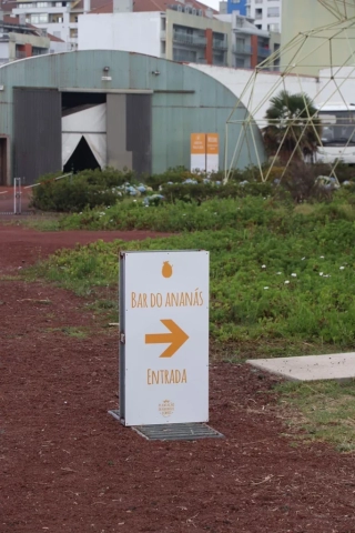 Azoren Sao Miguel 50 Ananas Plantage