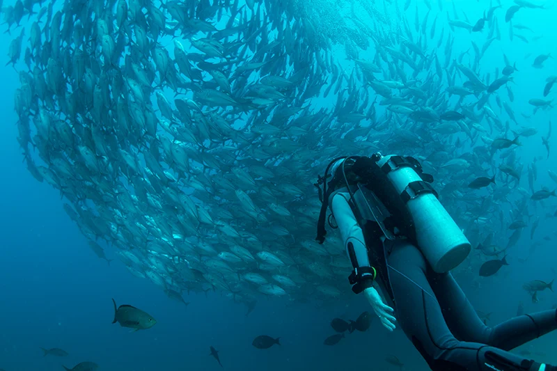 Ningaloo Reef Australien Reisebüro webook.ch