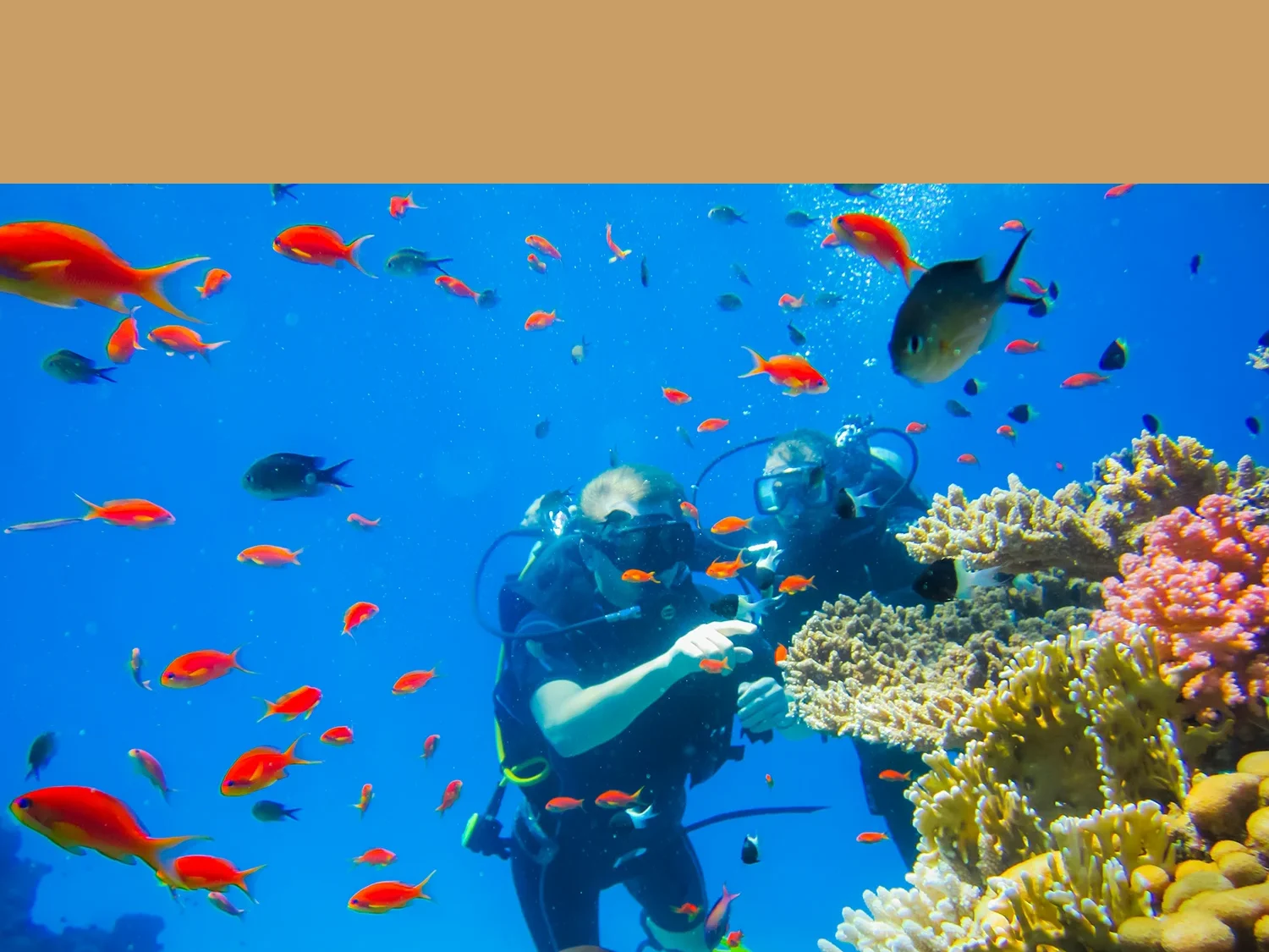 Tauchen Australien Tauchkurse Great Barrier Reef Reisen Ferien Online Reisebüro webook.ch