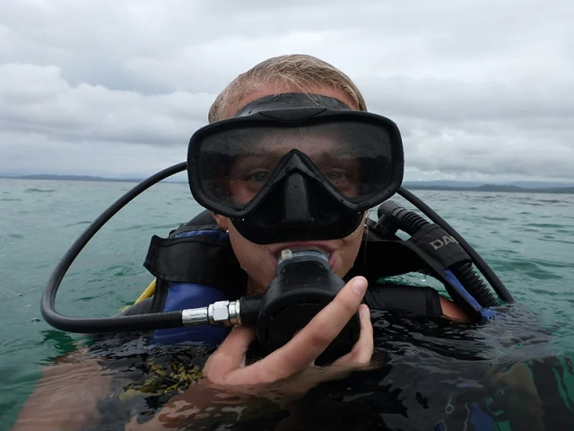 Tauchkurse Tauchreisen Queensland