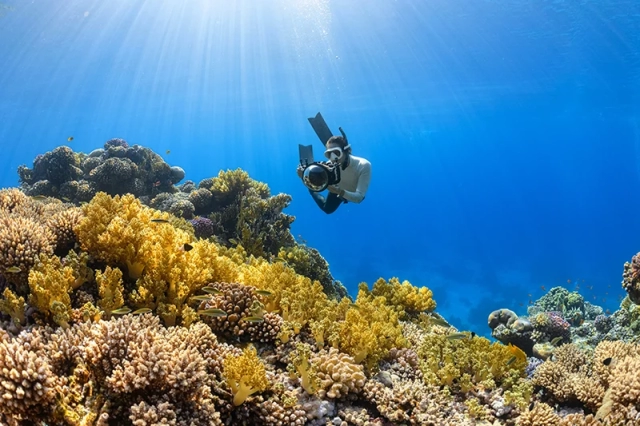 Unterwasserfotografie Australien