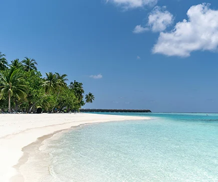 Französisch-Polynesien Tuerkis Blaues Meer