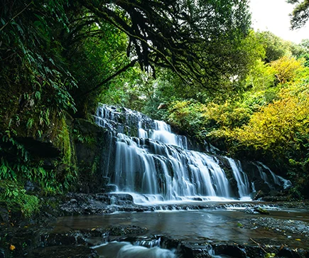 Ozeanine Neuseeland Natur