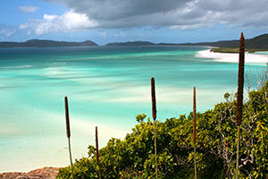 Whitehaven Beach