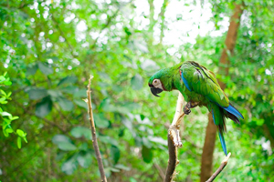 Eine Reise durch Ecuador 