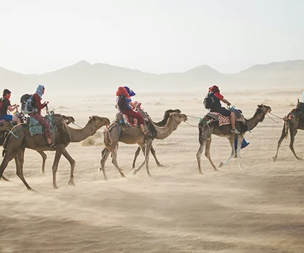 Gruppenreisen für Abenteuerlustige – Aktiv unterwegs in der Welt