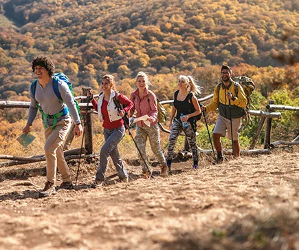 Organisation von Gruppenreise für Familien, Freunden oder Singles