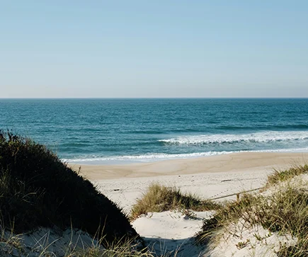 Badeferien abseits des Massentourismus - Ameland – Ruhe, Natur und friesischer Charme