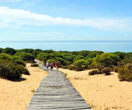 Matalascañas Nationalpark Coto de Doñana, Spanien, Ferien webook.ch Geheimtipp für Familien