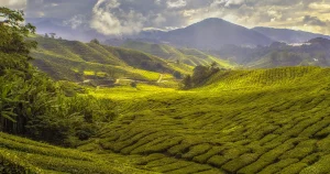 Familienreise durch Malaysia: Abenteuer mit Kindern von Kuala Lumpur bis Langkawi