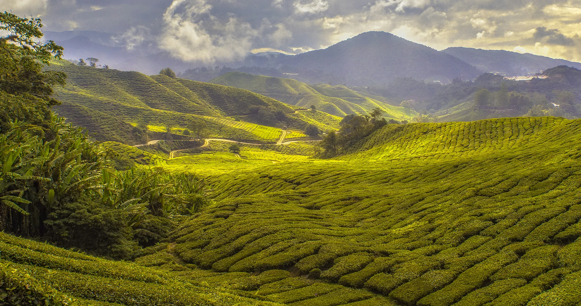 Familienreise durch Malaysia