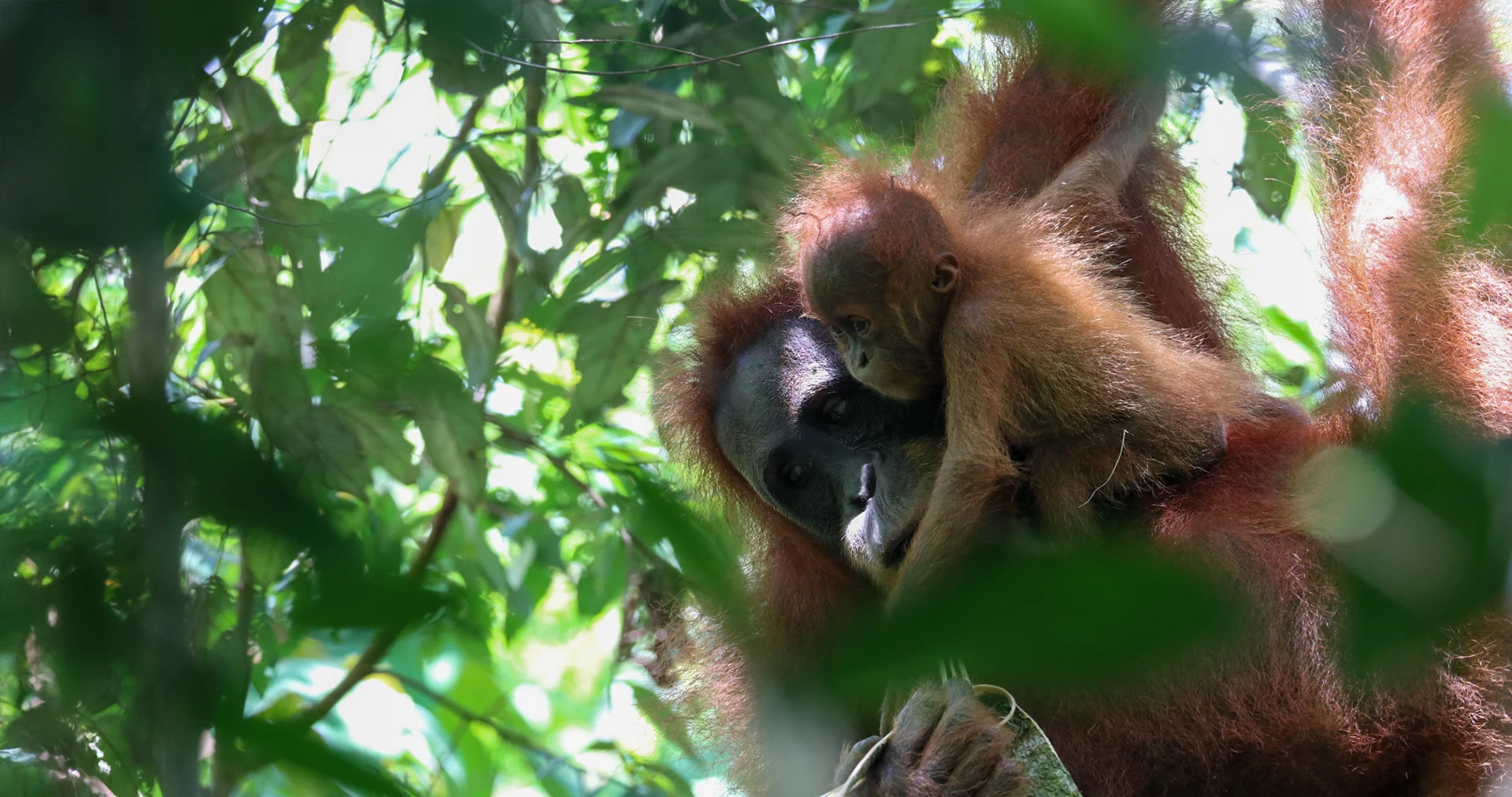 Sumatra Reisebericht