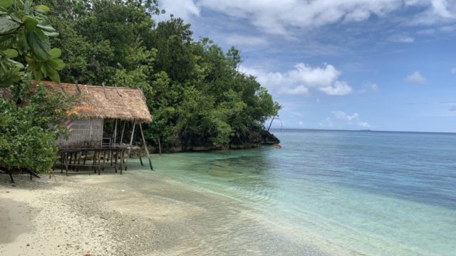 D76D02BF-AC91-450C-BB73-CE05BEE17AEF