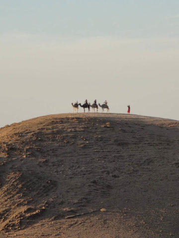 Steinwüste von Agafay