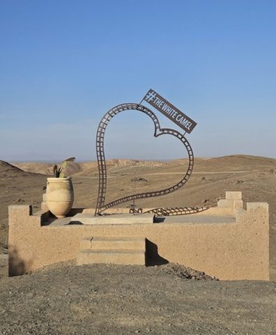 The White Camel Lodge