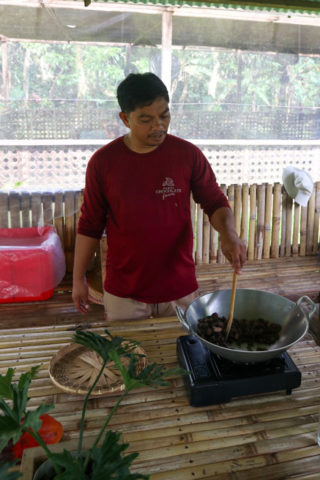 Bohol Chocolate Farm_6