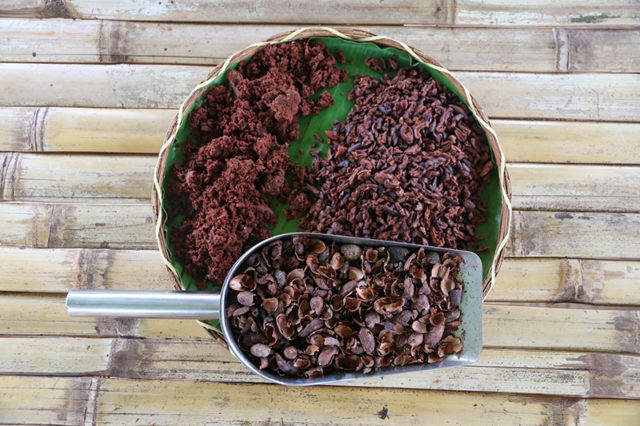 Bohol Chocolate Farm_9