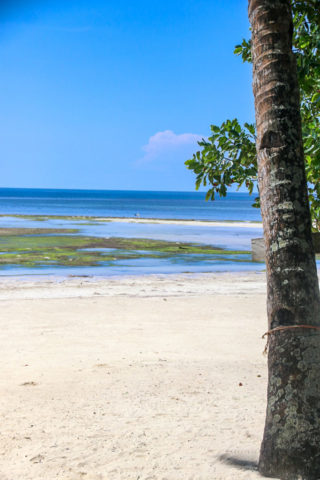 Reisetagebuch-mit-Familie-auf-den-Philippinen-Apo Divers Beach