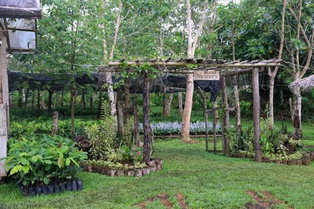 Reisetagebuch-mit-Familie-auf-den-Philippinen-Bohol Chocolate Farm_1