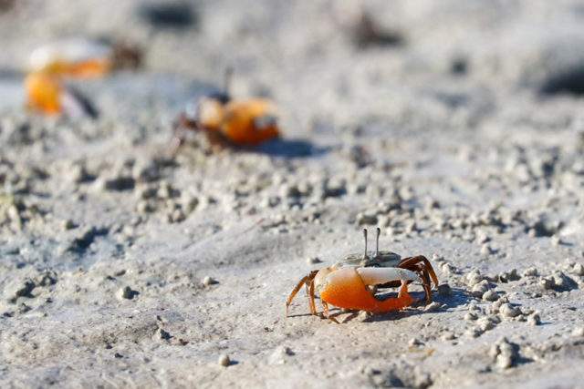 Reisetagebuch-mit-Familie-auf-den-Philippinen-Liloan_Santander_11