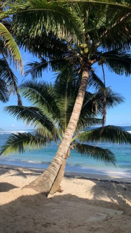 Upolu